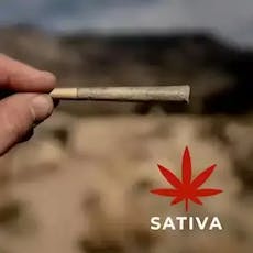 Sativa Premium Blend Pre-Roll 1g