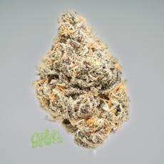 Dat Big Nasty - Hybrid Indoor Flower - RG
