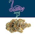 Collin's Avenue: Pre-Packed Buds [27% THCa]