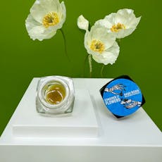 Gelato Full Melt Ice Water THCA Hash Rosin