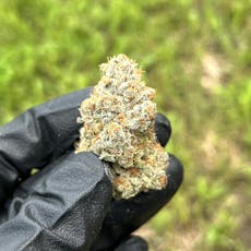 2:1 Huckleberry Web 3.5g