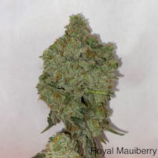Royal Mauiberry