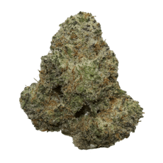 Higher Love Tokyo Lemon Drip Buds