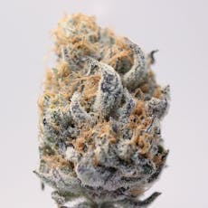 Gold Member- 8th 3.5g