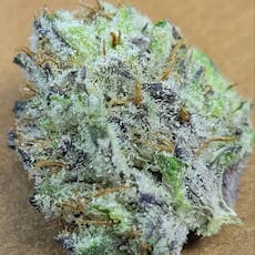 Cherry Mimosa - Outdoor 31.46