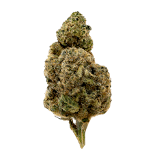 Lemon Drop Premium Living Soil THCA Hemp Flower
