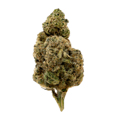 Lemon Drop Premium Living Soil THCA Hemp Flower