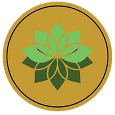 Viperhouse OG - 6 Pack (Feminized)