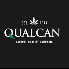 Lush | Sundae Driver Cartridge 0.5g