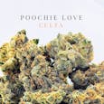 Poochie Love: Pre-Packed Buds [35% THCa]