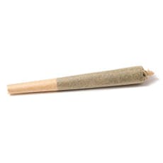 Blue Dream 1g preroll