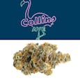 Collins Ave: Pre-Packed Outdoor Buds [28% THC]