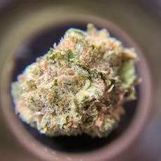 Glass Slipper (Sativa) *BOLD*