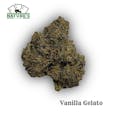Nature's Ace- Vanilla Gelato 28g