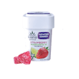 Strawberry Margarita 1:1 CBD/THC 20pk Gummies 