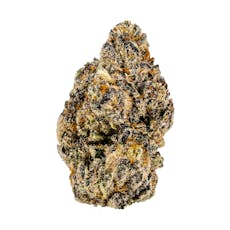 Premier Tier - Gelato