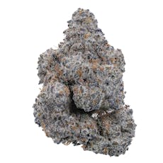 Cheetah Piss - AAA Exotic THCa Flower - Living Soil