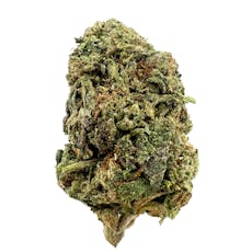 Peanut butter jealousy - SATIVA