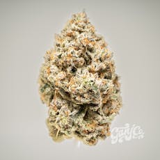 Blue Samurai - Indoor Flower