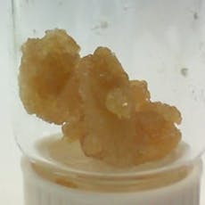 Platinum Kush Breath BHO