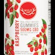 Wyld - Real Fruit Infused CBD Gummies Raspberry - 20-pack 500mg