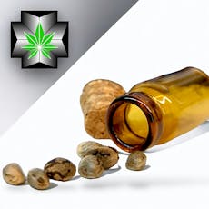 Z-AmbroZia Genetics - Amatrine Non-Feminized Seeds