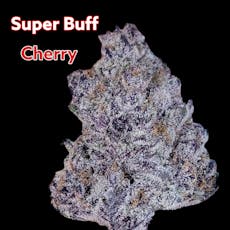 Super Buff Cherry