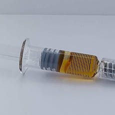 1g Dart - Revolving Line Up of Kinds