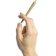 Northern Lights - Preroll