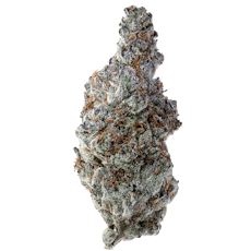 Garlic Truffle (Ultra Premium) THCA Hemp Flower by Consider It Flowers | Indica | 27%