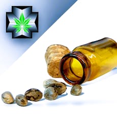 Z-AmbroZia Genetics - Chewy's Breath Feminized Seeds