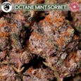 Octane Mint Sorbet by Easy Going Acres - Bulk
