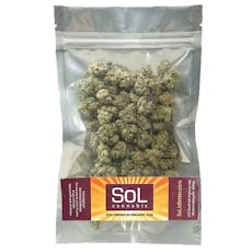 Gusherz x Modified Grape