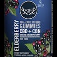 Wyld - Real Fruit Infused 500mg CBD + 100mg CBN Gummies Elderberry (Sleep) - 20-pack 500mg