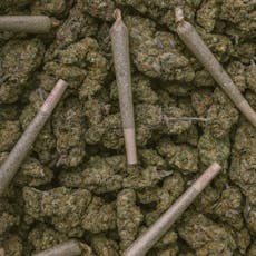 AC/DC (Sativa) Preroll