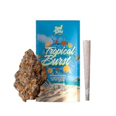 Tropical Burst | 1g Preroll
