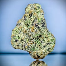 Gary Payton Top Shelf Flower