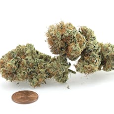 Honey Banana 1g Flower 30.18% THC by Aurora Blaze