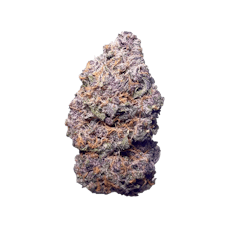 Wizard Trees THCA Flower