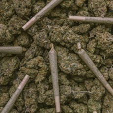 Delta 8 Stardust CBG Preroll