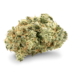 Lemon Fatman - Deli Flower