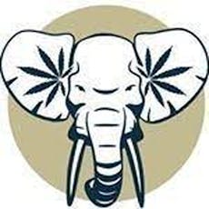 HASH HOLE - Gas Face #1 Flower/Hardy Candy Rosin - 601.24mg THC/<LOQmg CBD