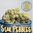 Star Pebbles Bud