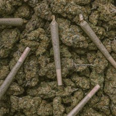 Delta 8 AC/DC (Sativa) Preroll