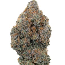 Oakland Kush Top-Shelf High-THCa Hemp Flower