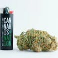 Cannabis Nation Lighter | Assorted