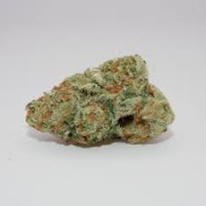 Green Habitat 1G - Hotcakes