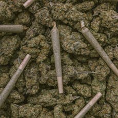 Delta 8 Baox (Hybrid) Preroll