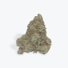 Hemlock