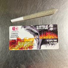 TL Little Dragon Pre Roll